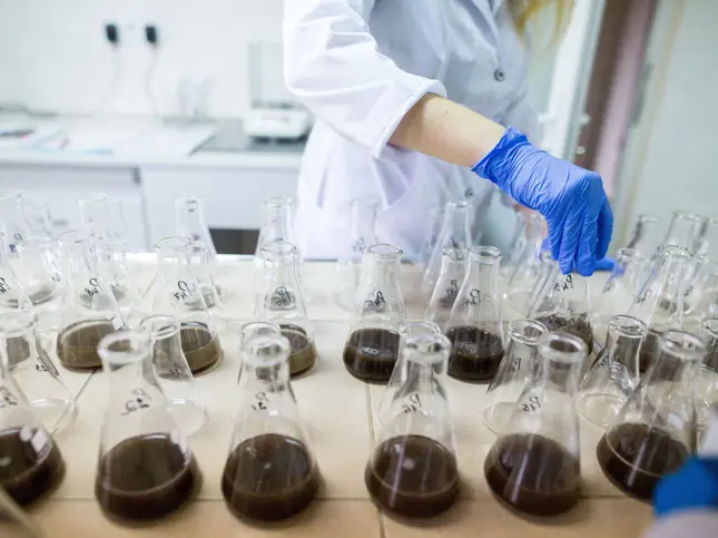 Microbiology Laboratory