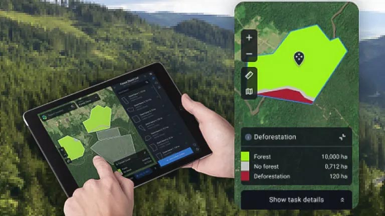 Forestry Management